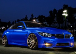 赏金国际app的成功秘诀:坚持与努力是关键