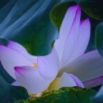 赏金国际娱乐的热门游戏推荐与玩法解析 au1pyhn