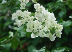 赏金国际pg的忠诚度计划与会员福利