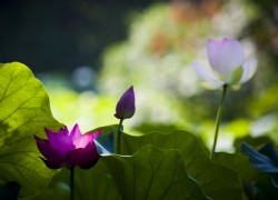 赏金国际的未来:赏金猎人行业的发展趋势