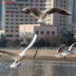 赏金国际app的用户评价:真实体验分享与分析 kda5iqmb