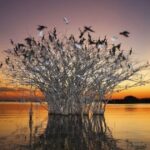 胜天国际app下载:新手玩家必知的注意事项 kl9pttae3