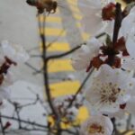 赏金国际的文化影响:影视作品中的赏金猎人形象 m3wje