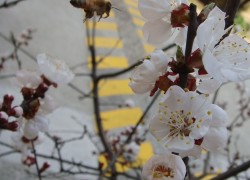 赏金国际的文化影响:影视作品中的赏金猎人形象