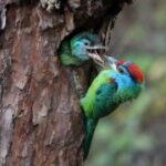 胜天国际app下载后的账户安全设置与建议 rzx3avw