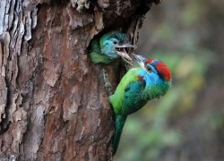 胜天国际app下载后的账户安全设置与建议