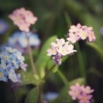 如何在赏金国际中找到适合自己的猎人角色 ur0eam0lc