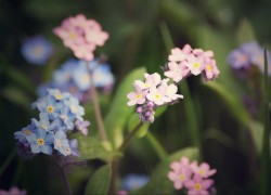 如何在赏金国际中找到适合自己的猎人角色