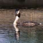 胜天国际H5在品牌传播中的作用与效果 vhv2ho