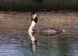 胜天国际H5在品牌传播中的作用与效果