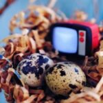 赏金国际的社区影响:如何改变当地治安环境 yg3p98