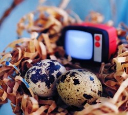 赏金国际的社区影响:如何改变当地治安环境